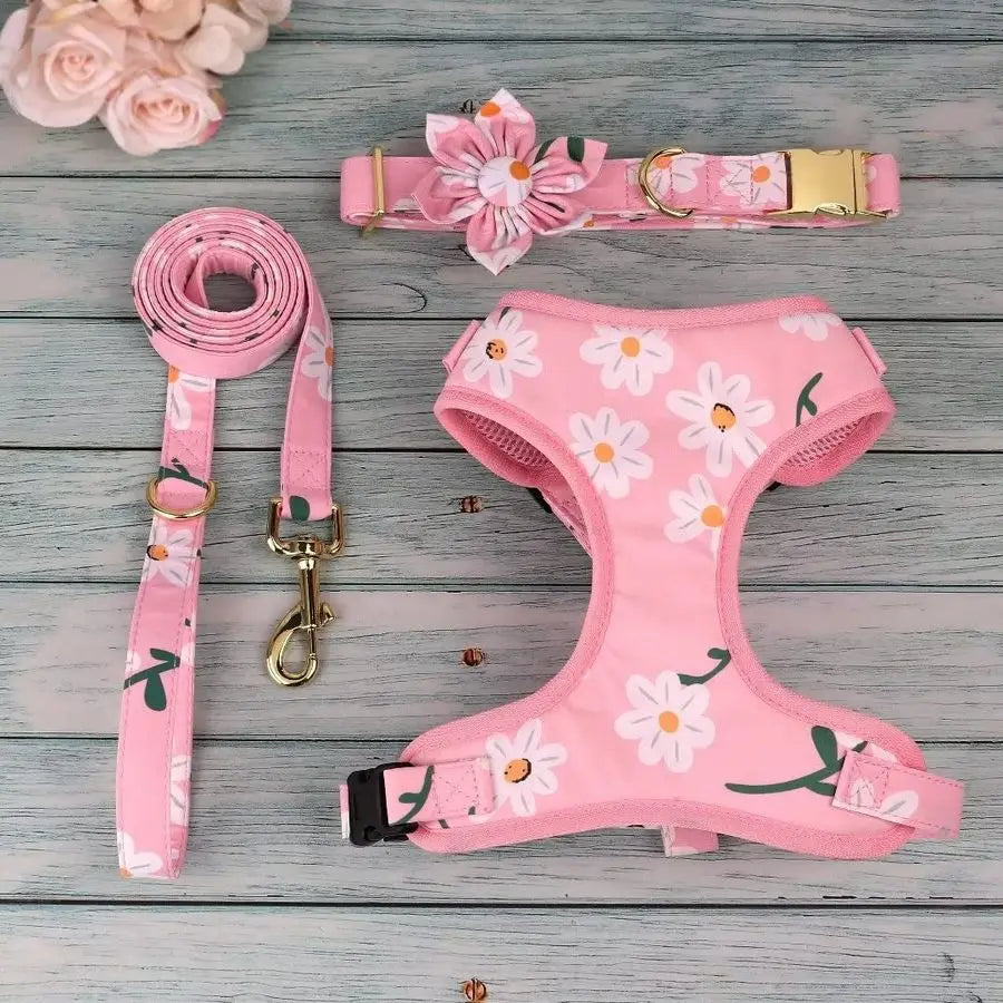 Harnesses and Leash Set