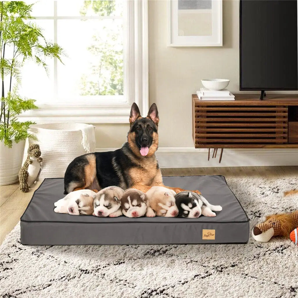 Jumbo Pet Orthopedic Bed