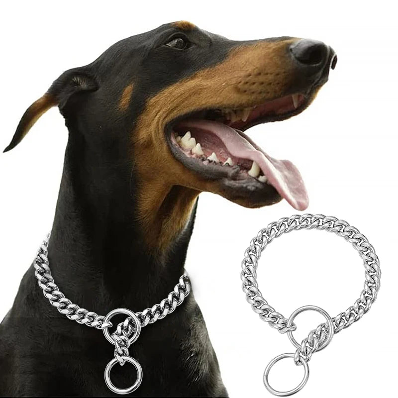 Stainless Chain Collar