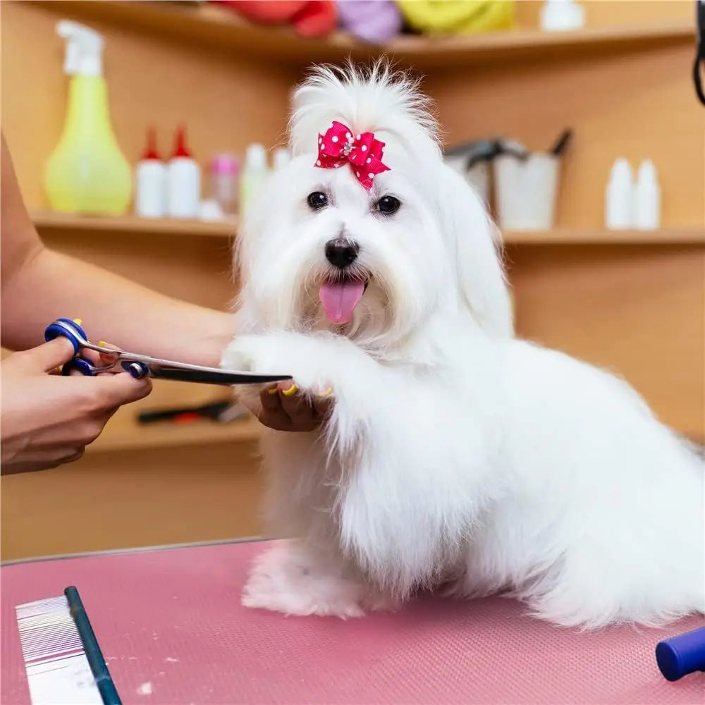 Portable Pet Grooming Table