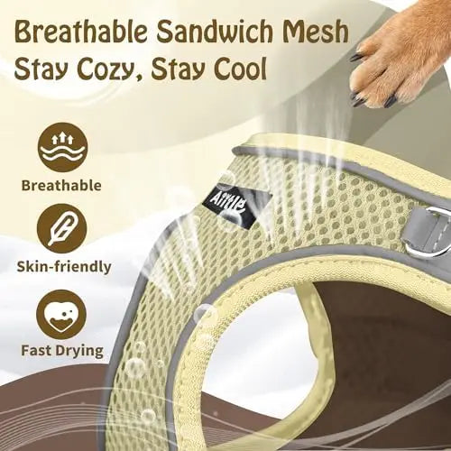 Adjustable Harness & Leash Set