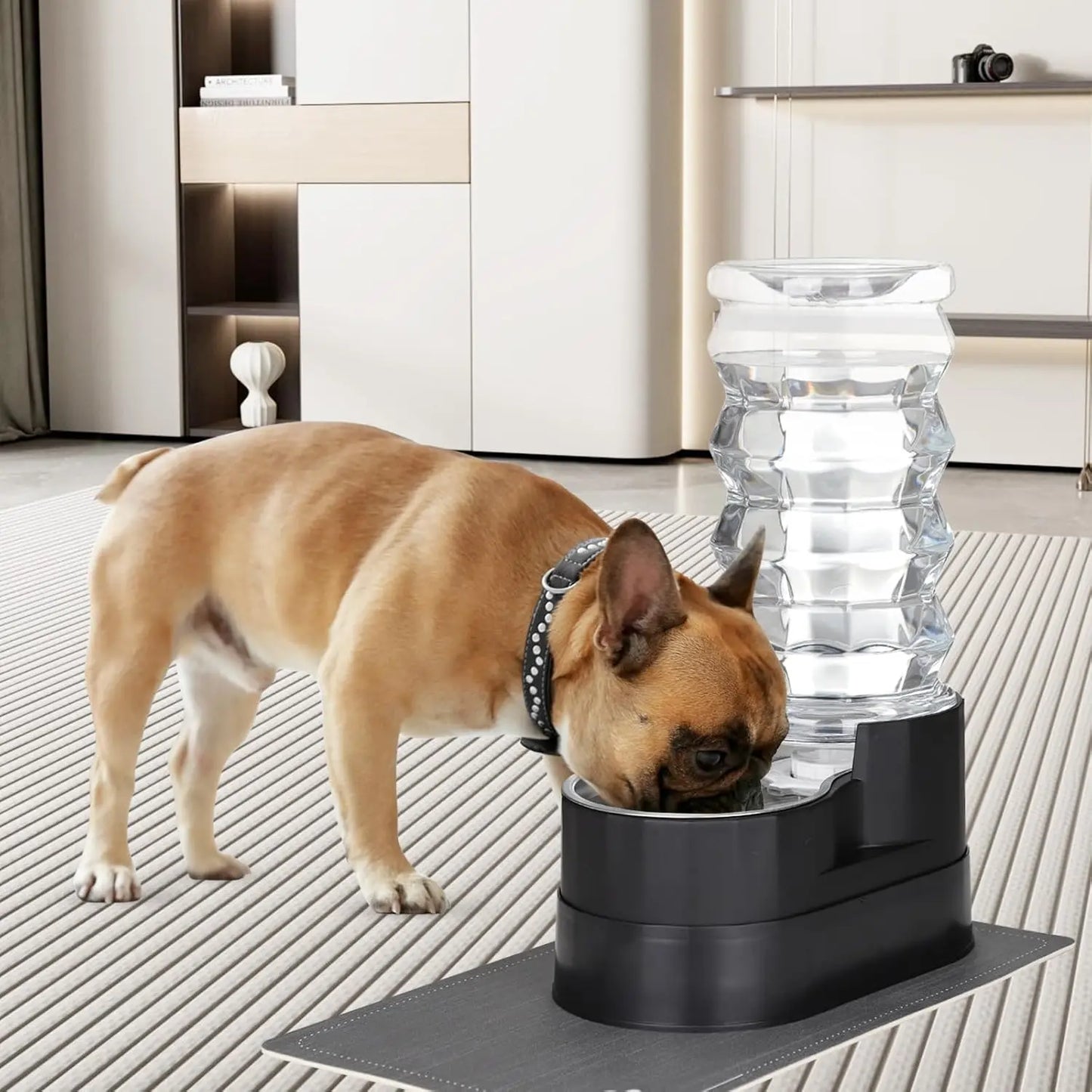 Water Dispenser for Dogs