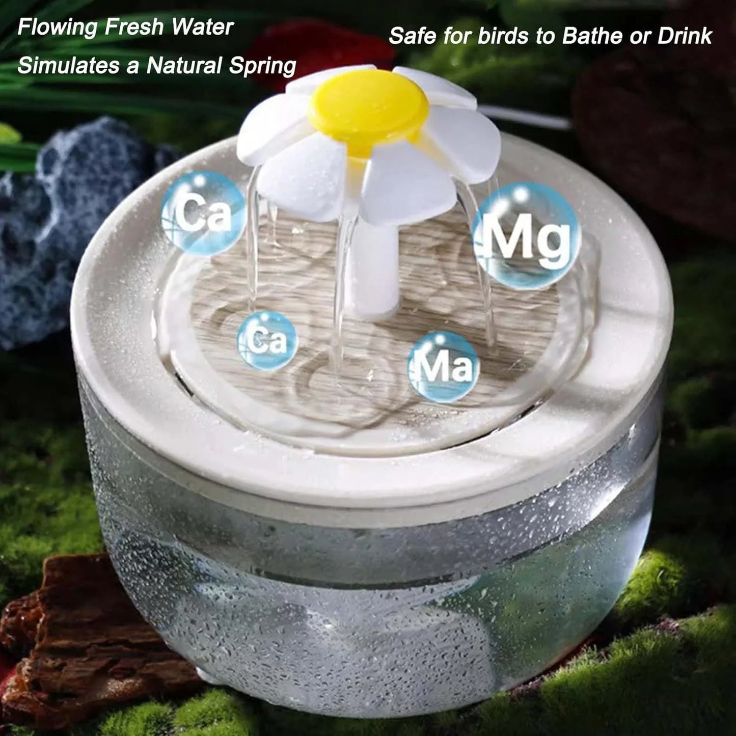 Indoor Bird Bath Fountain
