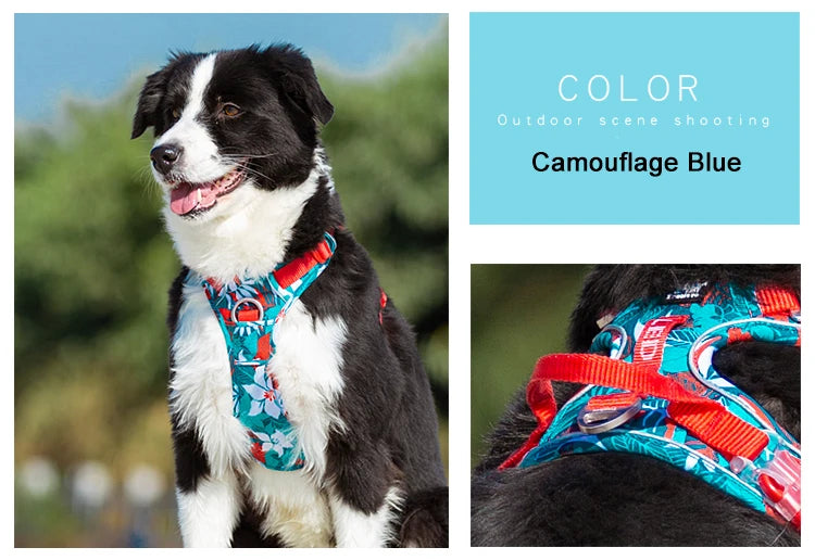Pet Explosion-Proof Dog Harness