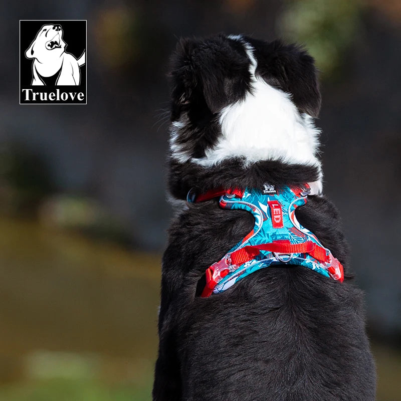 Pet Explosion-Proof Dog Harness