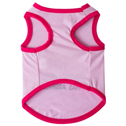 Summer Cotton Sphynx Cat T Shirt Vest