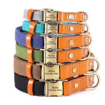 Nylon Custom  Collar Leash Set