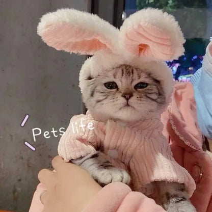 Pet Autumn and Winter Clothes