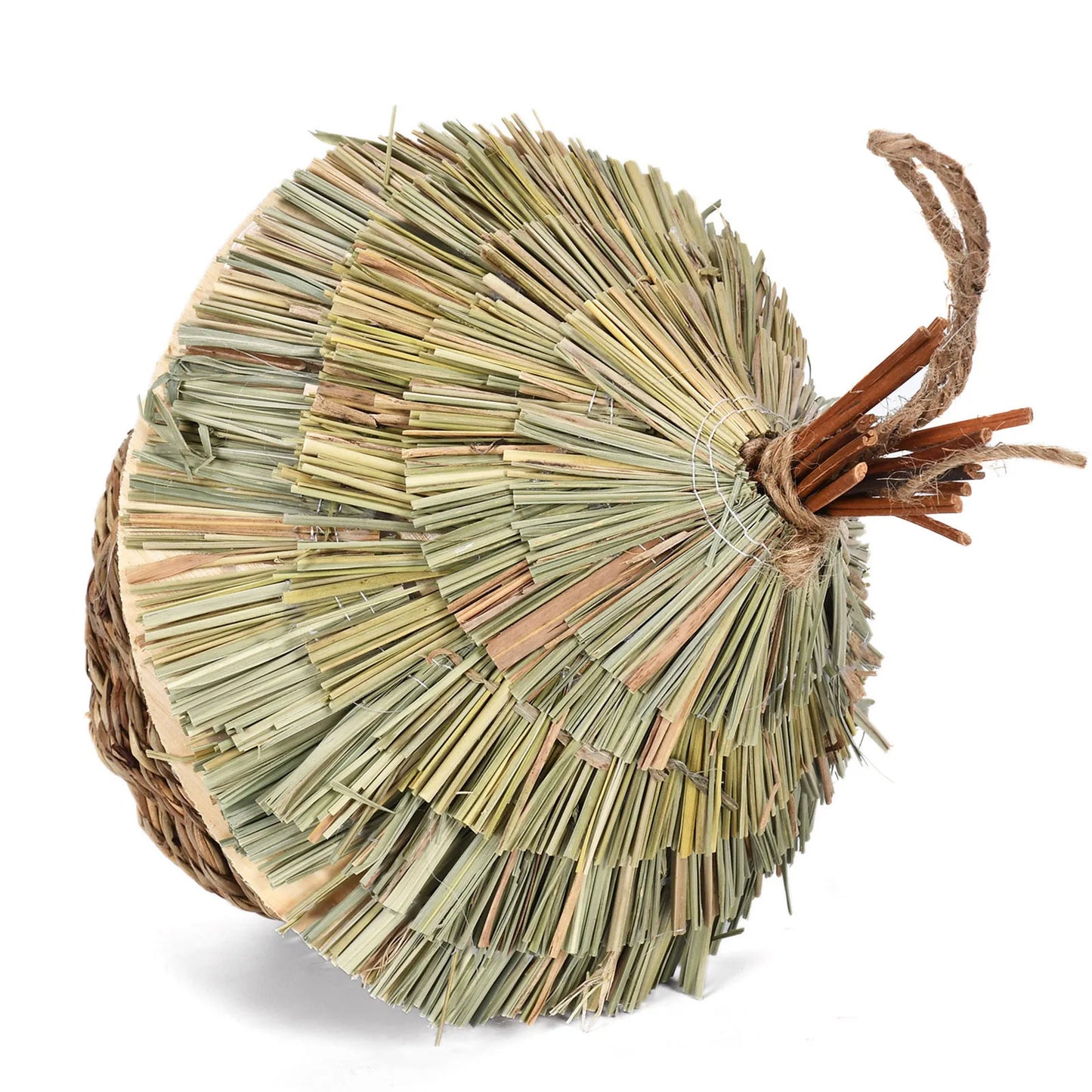 Bird House Hummingbird Nests