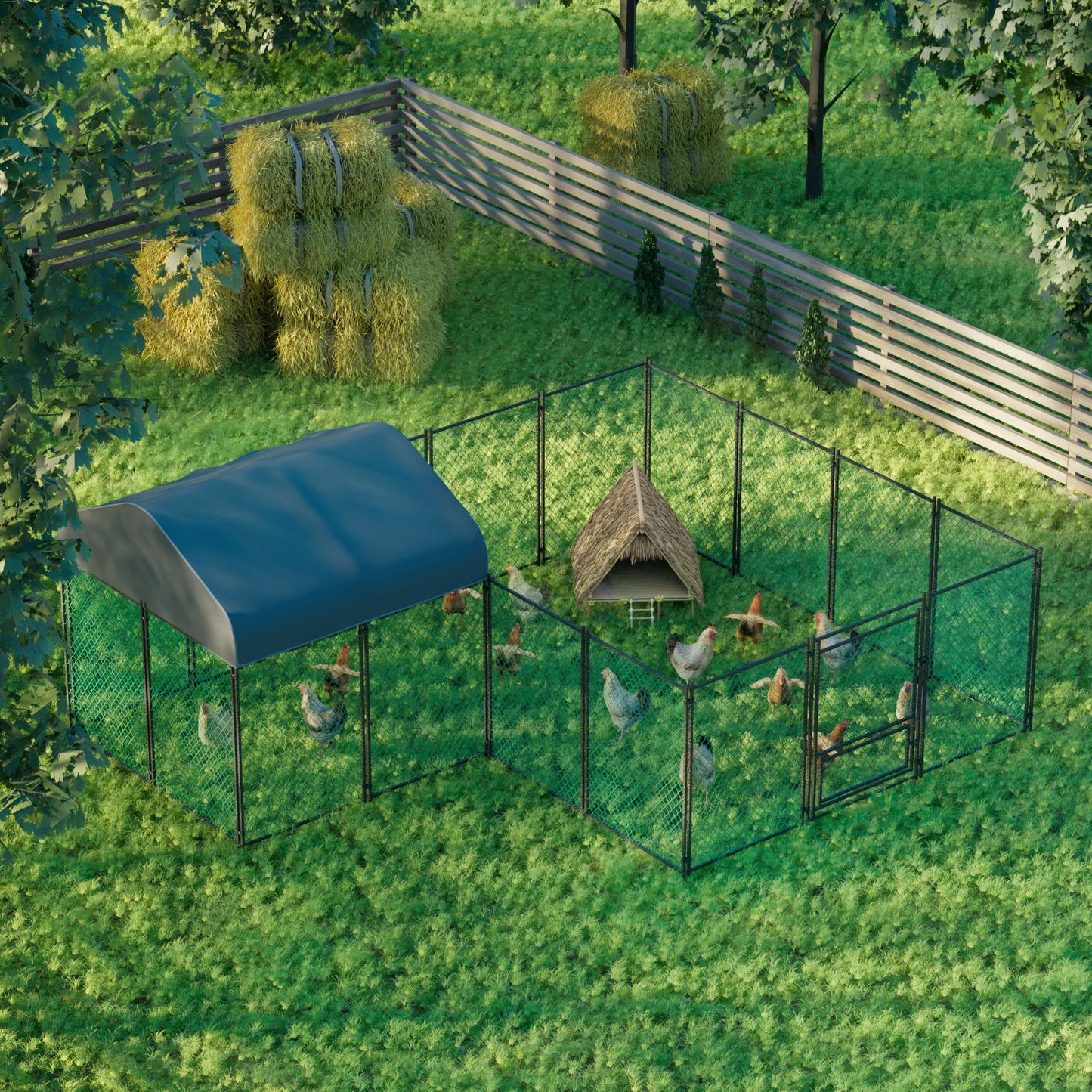 Chicken Coop
