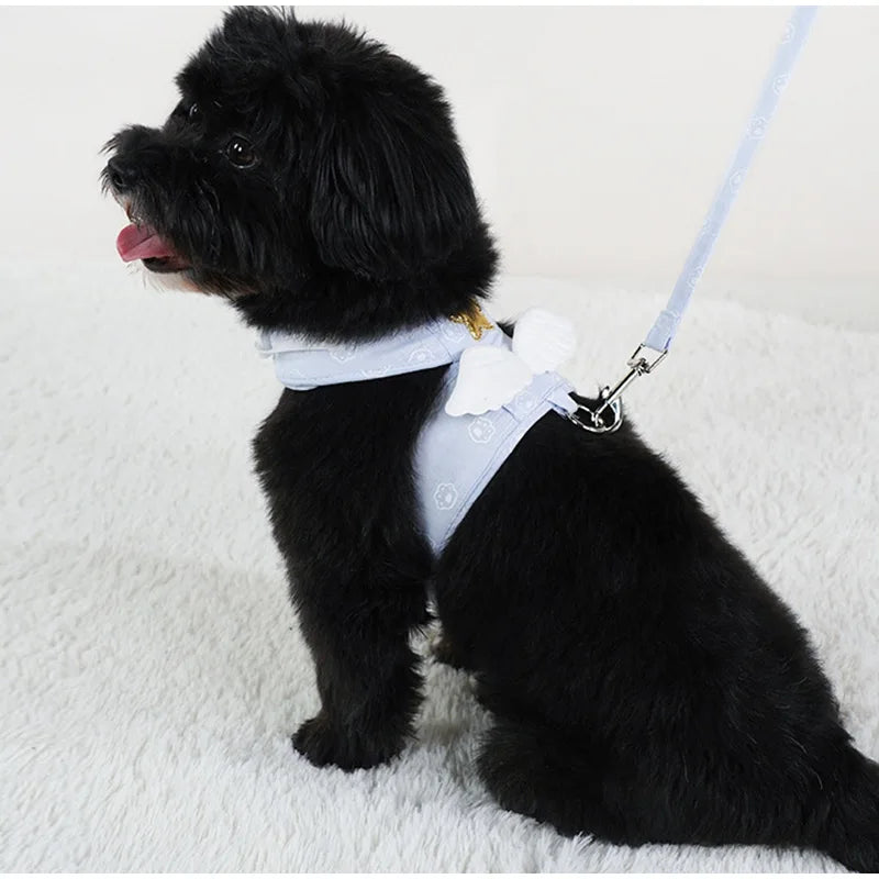 Angel Wing Vest Cat Dog Set