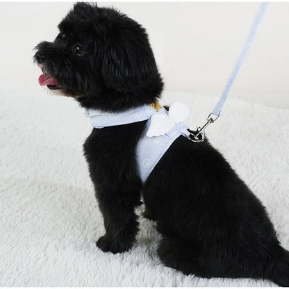 Angel Wing Vest Cat Dog Set