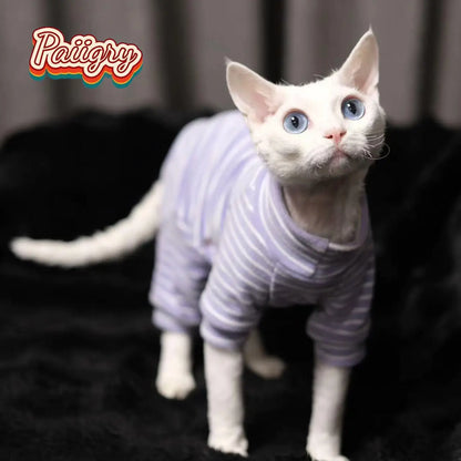 Hairless cat clothes