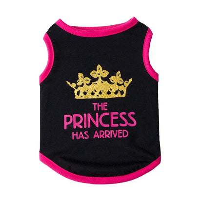 Summer Cotton Sphynx Cat T Shirt Vest