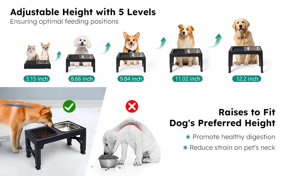 2-in-1 Elevated Slow Feeder Dog Bowls