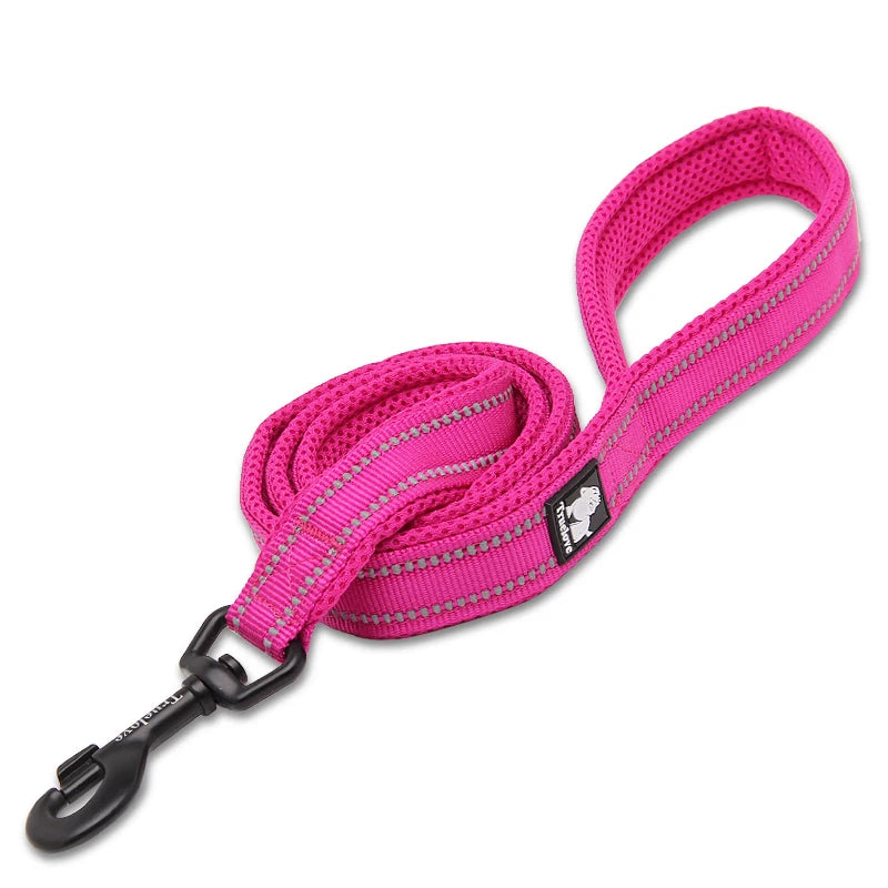Dog Leash with Padded Handle