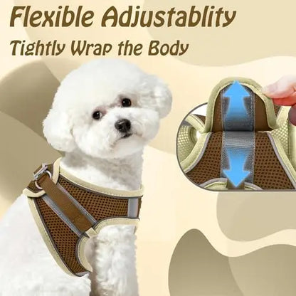 Adjustable Harness & Leash Set