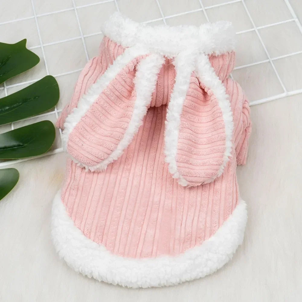 Pet Autumn and Winter Clothes