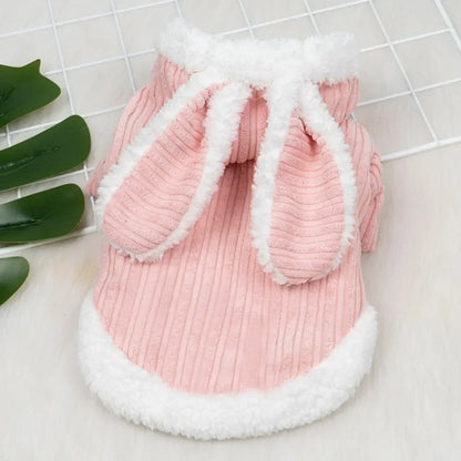 Pet Autumn and Winter Clothes