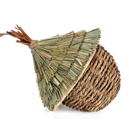 Bird House Hummingbird Nests