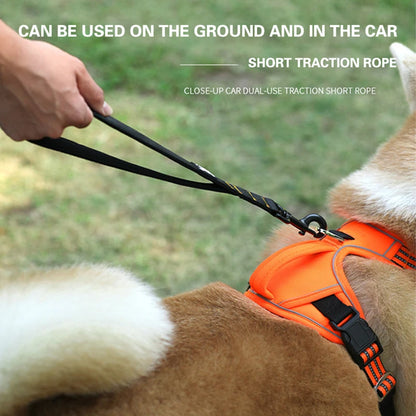 Durable Pet Leash