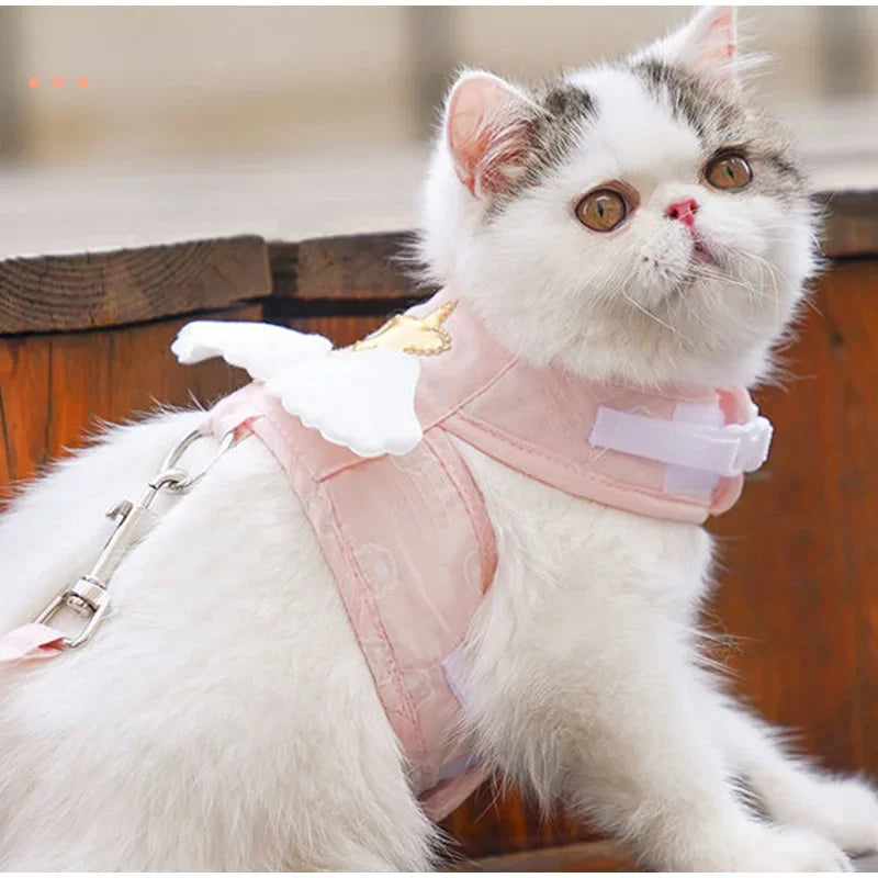 Angel Wing Vest Cat Dog Set