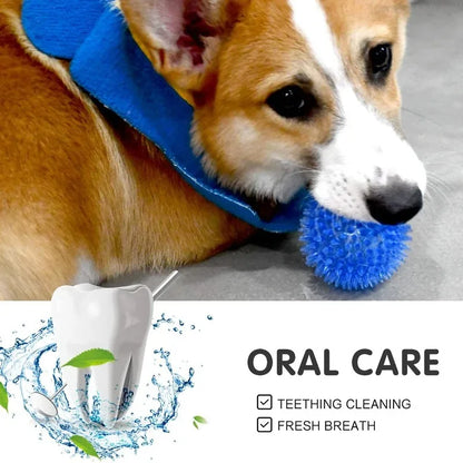 Pet Dog Squeaky Ball Toy