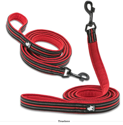 Dog Leash with Padded Handle