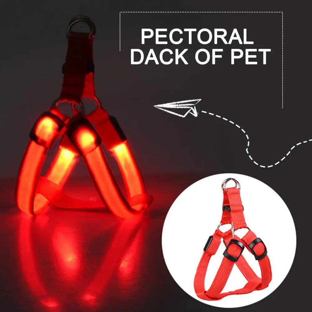 Harness USB Rechargeable