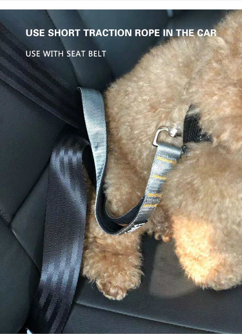 Durable Pet Leash