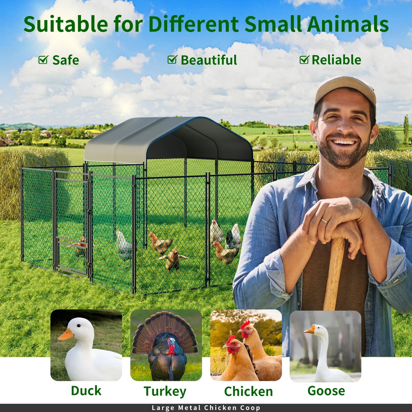Chicken Coop