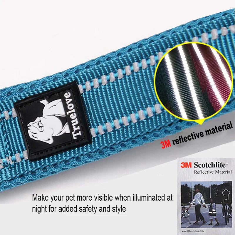 Dog Leash with Padded Handle