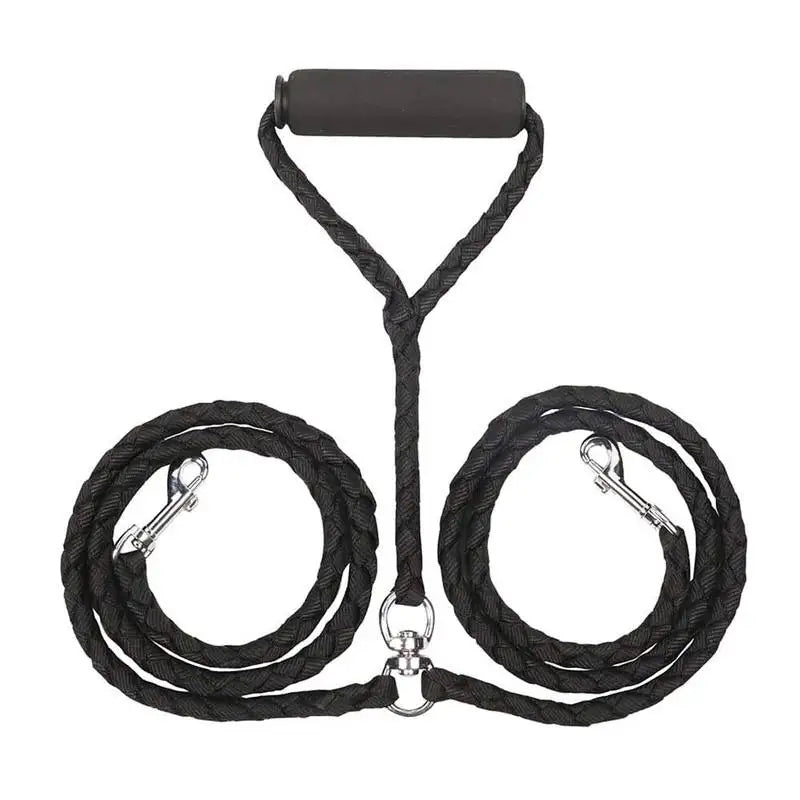 Training Double Dogs Leashes