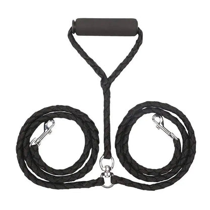 Training Double Dogs Leashes