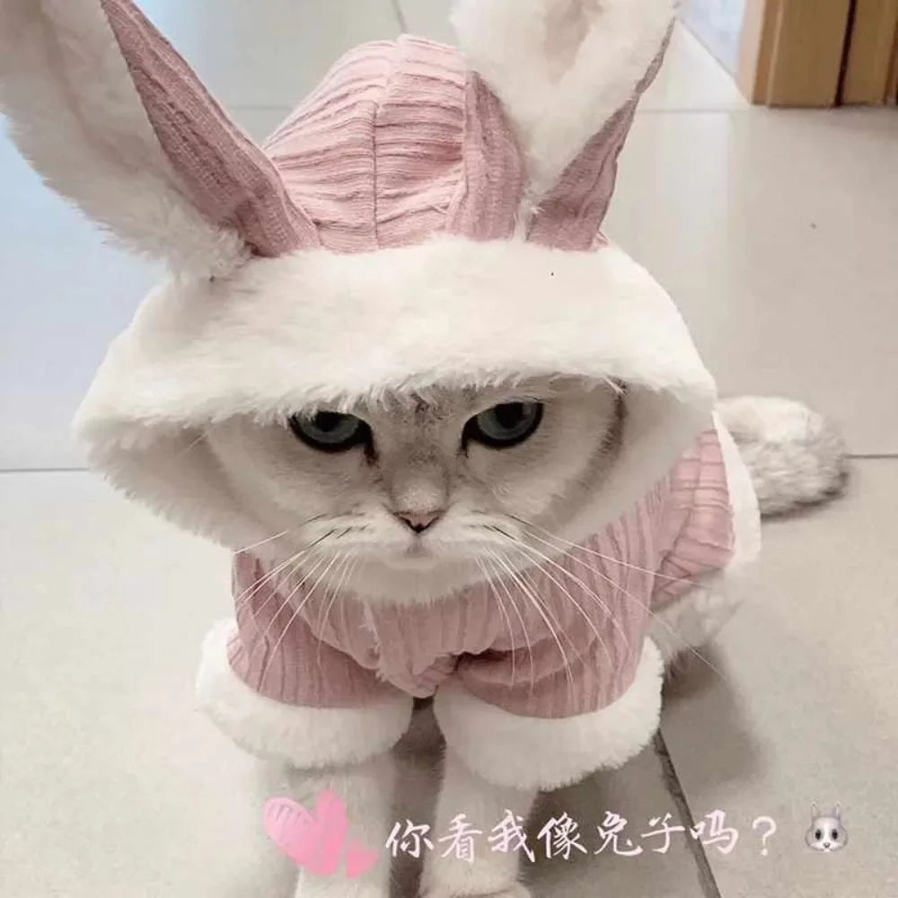 Pet Autumn and Winter Clothes