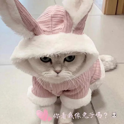 Pet Autumn and Winter Clothes