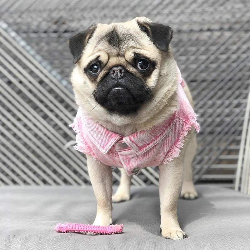 Pet Dog Jeans Jacket Denim Coats