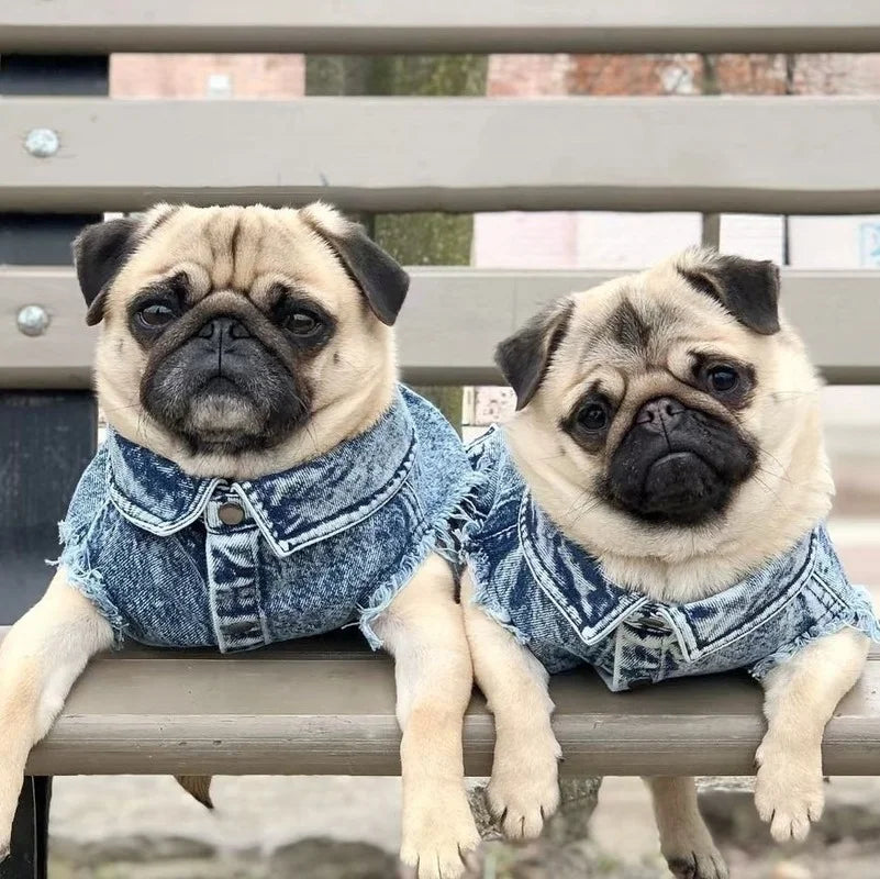 Pet Dog Jeans Jacket Denim Coats