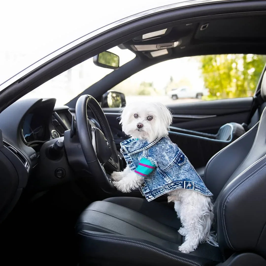 Pet Dog Jeans Jacket Denim Coats