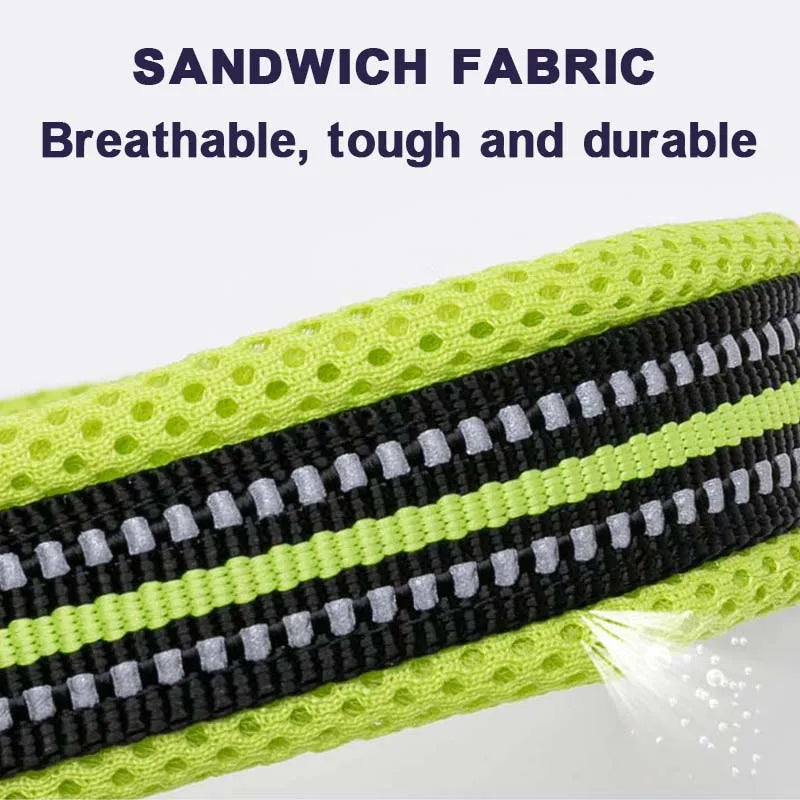 Dog Walking Collar