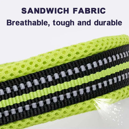 Dog Walking Collar