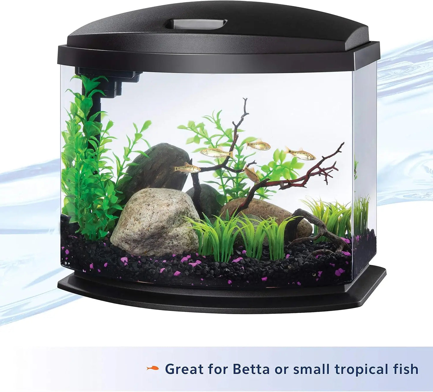 5 Gallon LED Mini Aquarium