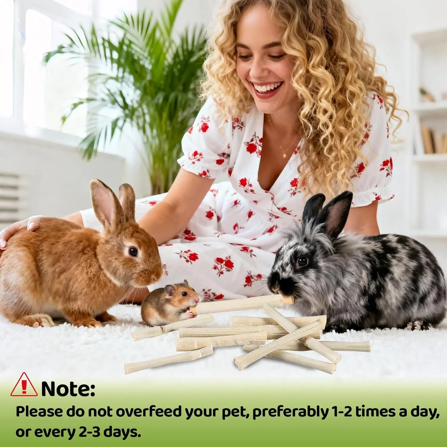 Small Animal Dental Treats for Rabbits Guinea Pigs Chinchillas
