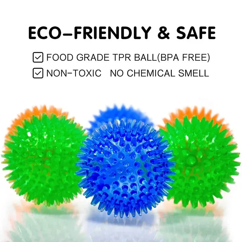 Pet Dog Squeaky Ball Toy