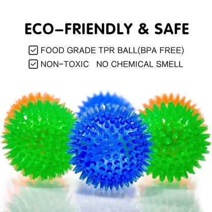 Pet Dog Squeaky Ball Toy