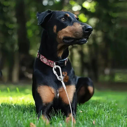 Double-headed Dog Tie Out Cable Leash