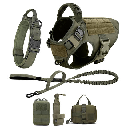 Large Dog Harness And Leash