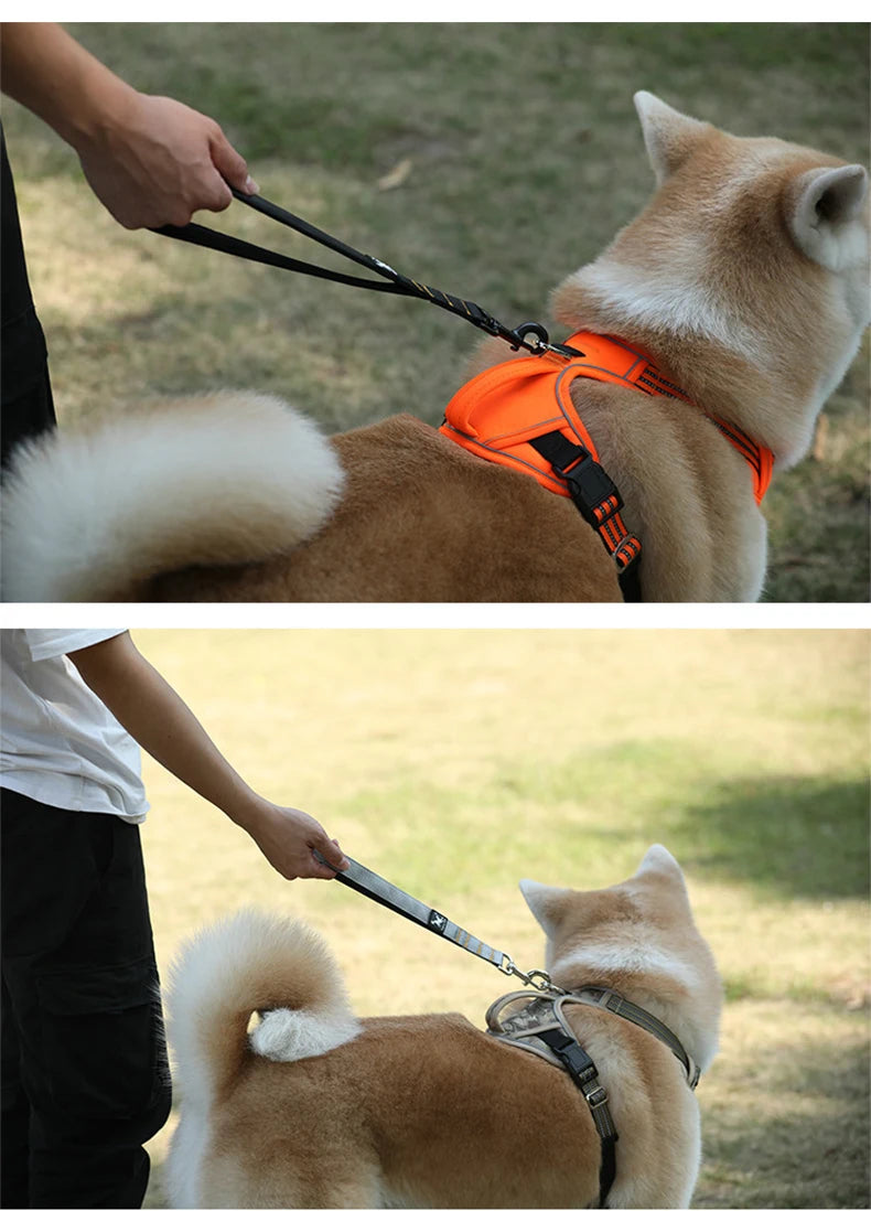 Durable Pet Leash