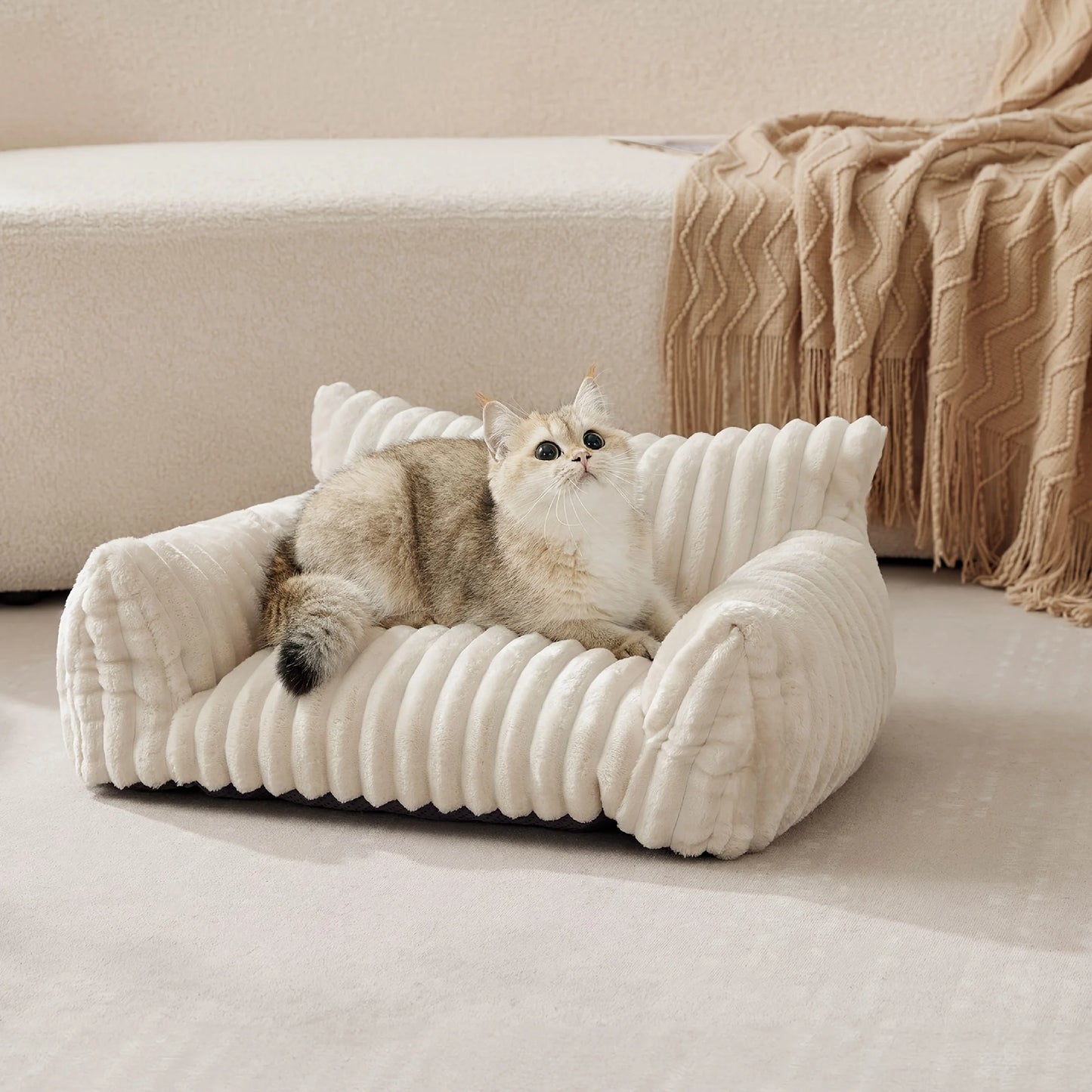 Fluffy  Cat Sofa Bed