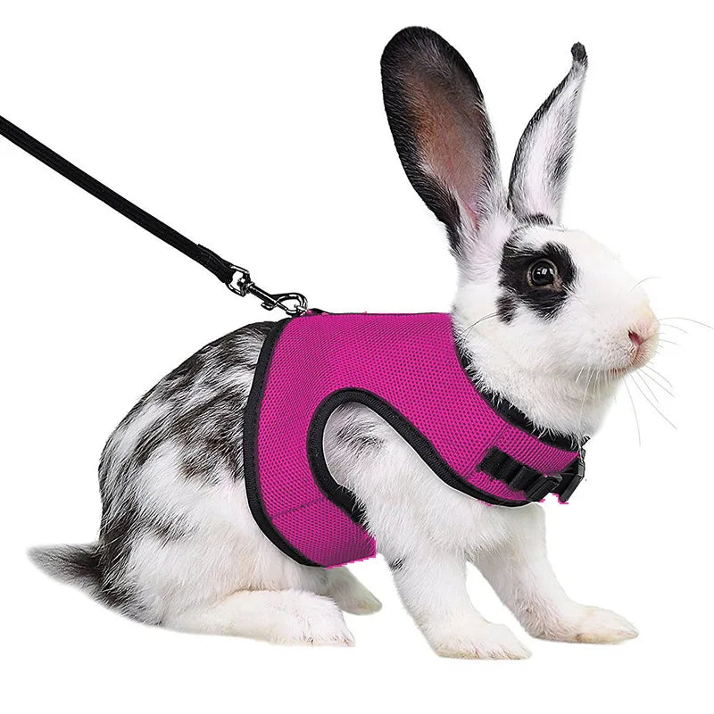 Small Mesh Harness/Leash